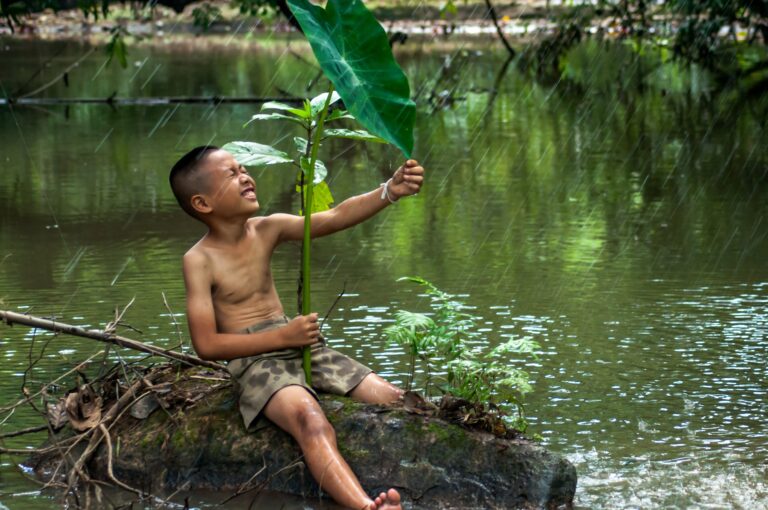 10 consejos para conservar la berenjena cortada y disfrutar su frescura por mas tiempo