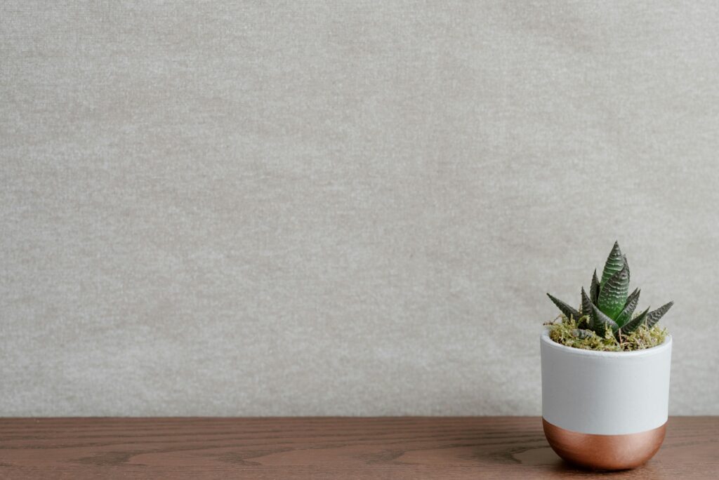 como quitar las manchas en el suelo porcelanico mate de forma rapida y eficaz