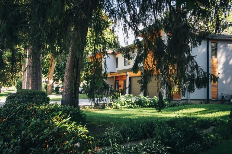 descubre como organizar un hermoso jardin de plantas aromaticas y disfruta de fragancias naturales en tu hogar
