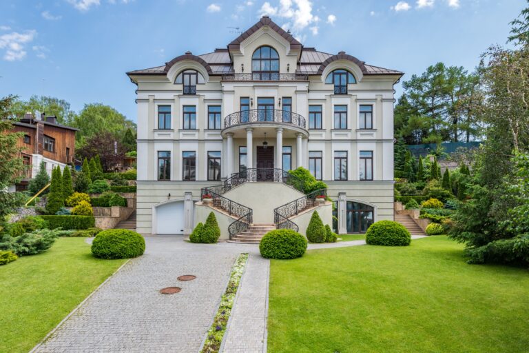 descubre como y cuando plantar las deliciosas habas en tu jardin de forma exitosa