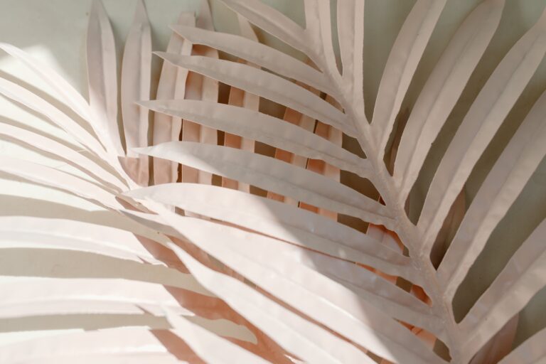 descubre los mejores trucos para limpiar y mantener tus estores blancos en perfecto estado
