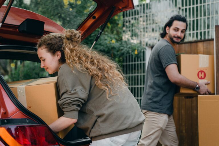 descubre que plantar despues de las habas para tener un jardin abundante y diverso