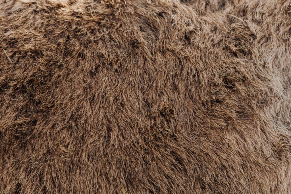 descubre que productos utilizar para controlar el frizz del cabello y lucir un pelo suave y sin encrespamiento