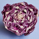la col kale consejos y trucos para saber cuando y como plantarla